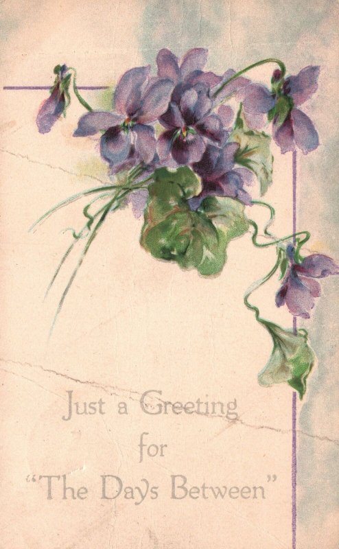 Vintage Postcard Just A Greeting For The Days Between Flower Design Souvenir