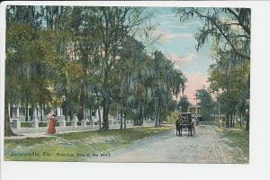 FL DB Jacksonville Riverside Ave SEP 28 1909