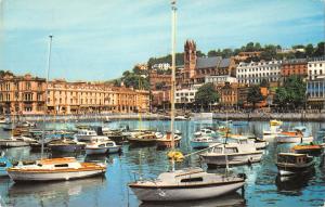 uk7114 the harbour torquay  uk