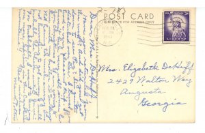 Birds - White-Winged Crossbill