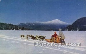 Dog Team, Whiteface Mt. - Lake Placid, New York