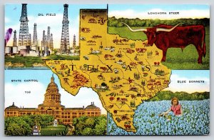 Maps~Blue Bonnets Oil Field Longhorn Steer & Capitol State Map~Vintage Postcard
