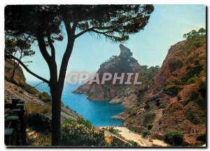 Postcard Modern French Riviera La Ciotat B R cove Figuerolles and Capuchin th...