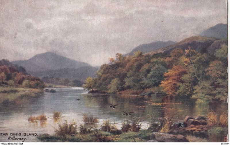 KILLARNEY, Near Dinis Island, 1900-10s; TUCK 7283