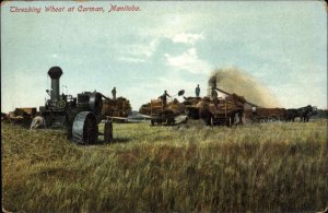 Carman Manitoba MB Threshing Wheat Thresher Farming c1910 Vintage Postcard