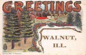 J73/ Walnut Illinois Postcard c1910 Glitter Greetings from Walnut 331