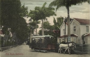 barbados, BRIDGETOWN, Pine Road, Horse Tram (1910s) Postcard