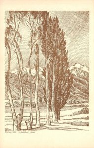 Poplar Tree Wind-Break, Utah E. Merrill Van Frank Art c1930s Vintage Postcard