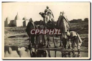 Old Postcard La Halte Pres Du Marabout Camels