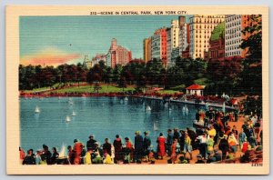 Central Park Scene New York City NYC Public Tours And Family Activities Postcard