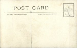 Fantasy - Roosevelt Bears at Home - Gun Axe c1910 Postcard