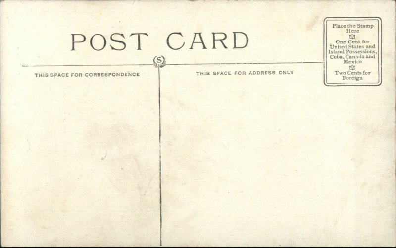 Fantasy - Roosevelt Bears at Home - Gun Axe c1910 Postcard