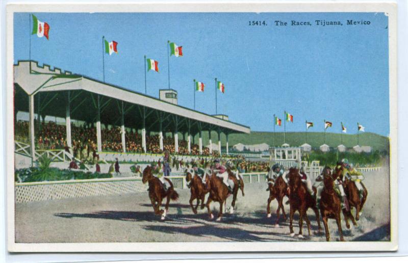 Horse Racing Track Course Tijuana Mexico 1920s postcard