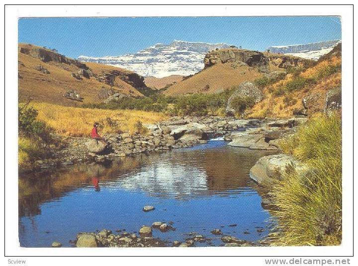 Natal, Solitude By A Mountain Stream, Drakensberg, South Africa, 1950-1970s