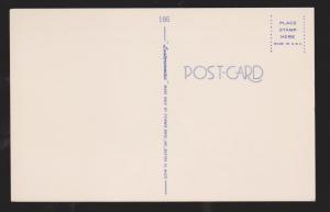 Comic Postcard - Hen & Rooster - Nothing To Crow About - Unused