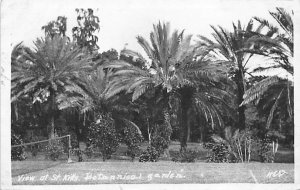 Botanical Garden, Real Photo St. Kitts Barbados West Indies Unused 