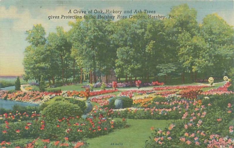 Hershey  PA Hershey Rose Garden Linen  Postcard Unused