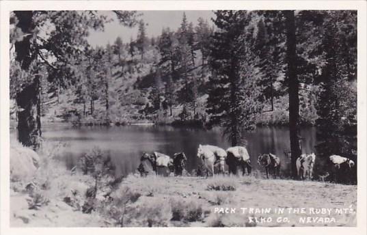 Nevada Elko County Pack Train In The Ruby MTS