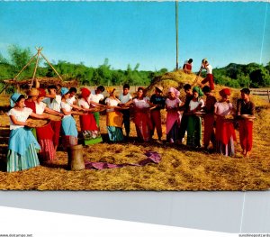 Philippines Pag-Tatahip Winnowing Farmer's Dance Separating Husk From Gr...