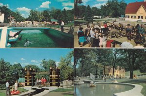 Storybook Gardens Canada Sea Lions Asian Elephant Zoo 4x Postcard s