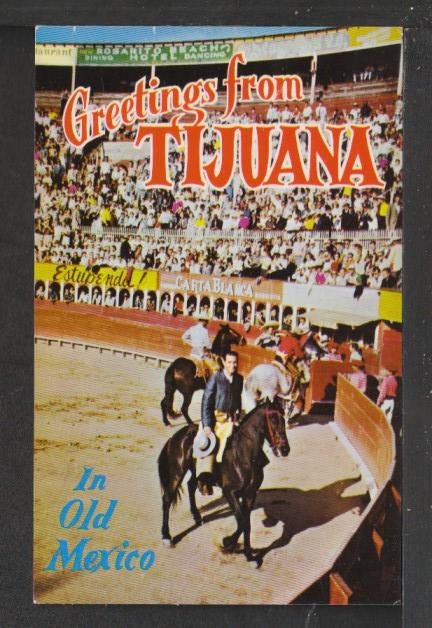 Greetings From Tijuana,Bull Fighters Postcard 