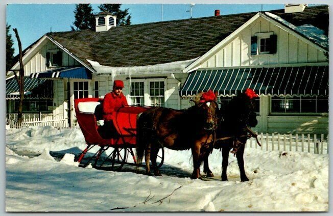 Genoa City,WI Honey Bear Farm Sleigh Ride Time Vernon County Wisconsin Postcard