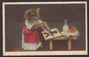 Dressed Cat Making Gingerbread Postcard 