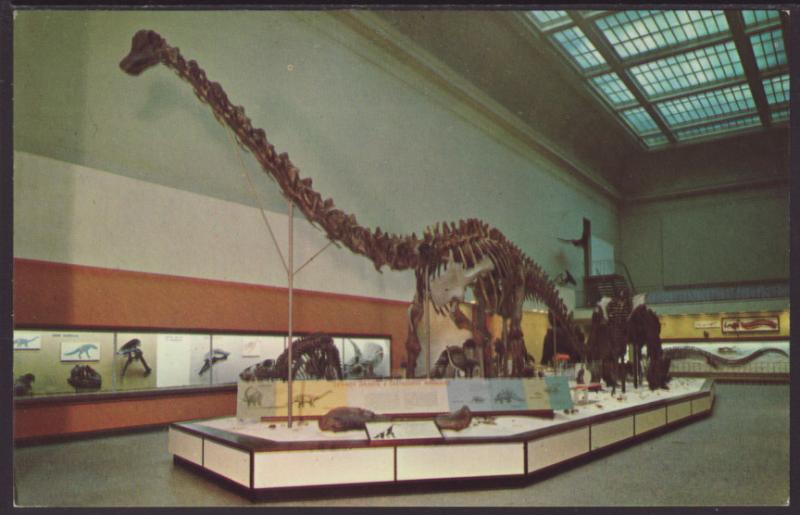 Diplodocus,Dinosaur National Monument,UT Postcard