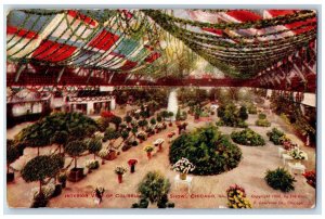 c1910's Interior View Of Coliseum Flower Show Chicago Illinois IL Postcard