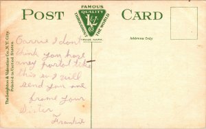 Postcard NY Oswego New Lower Bridge