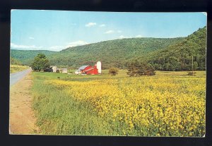 Lakewood, New Jersey/NJ Postcard, Greetings From Lakewood, Farm, Barn & Silo