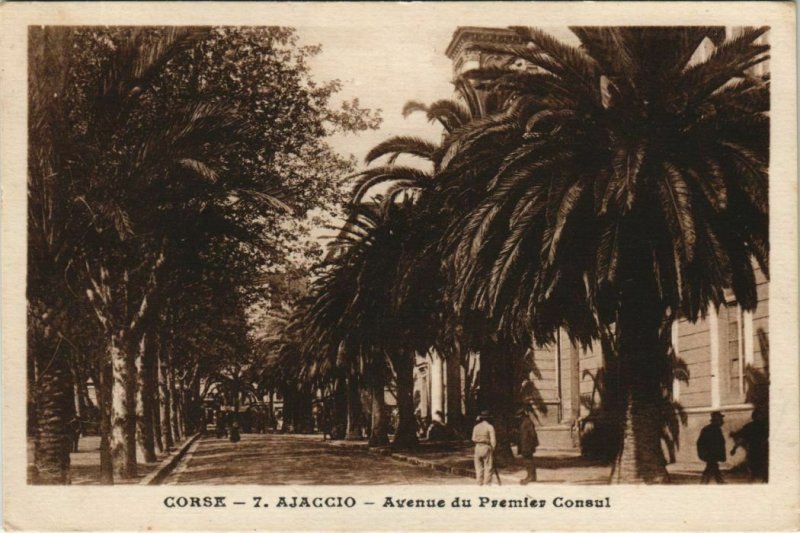 CPA Ajaccio Avenue du Premier Consul CORSICA (1077653)