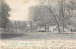 NEW YORK CITY~EAST LAWN-MOUNT MORRIS PARK~1905 ROTOGRAPH PHOTO  POSTCARD