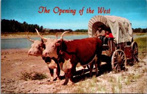 Nebraska Prairie Schooner Ox Team and Covered Wagon