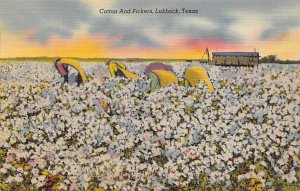 Cotton And Pickers - Lubbock, Texas TX