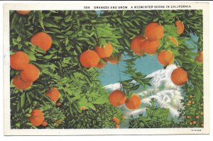 Oranges and Snow, A Midwinter Scene in California - 1935