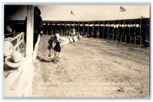 Leonard Stroud Tricking Riding And Roping Belle Fourche SD RPPC Photo Postcard