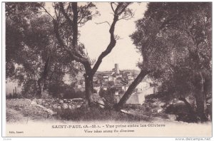 View Taken Among The Olive-Trees, SAINT PAUL (Alpes Maritimes), France, 1900-...