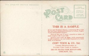 Black Americana Looking For Lice CURT TEICH SAMPLE Deltiology Postcard #6