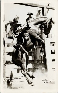 Calgary Stampede Calgary AB Rodeo Cowboy Bucking Horse Rosettis RP Postcard G92