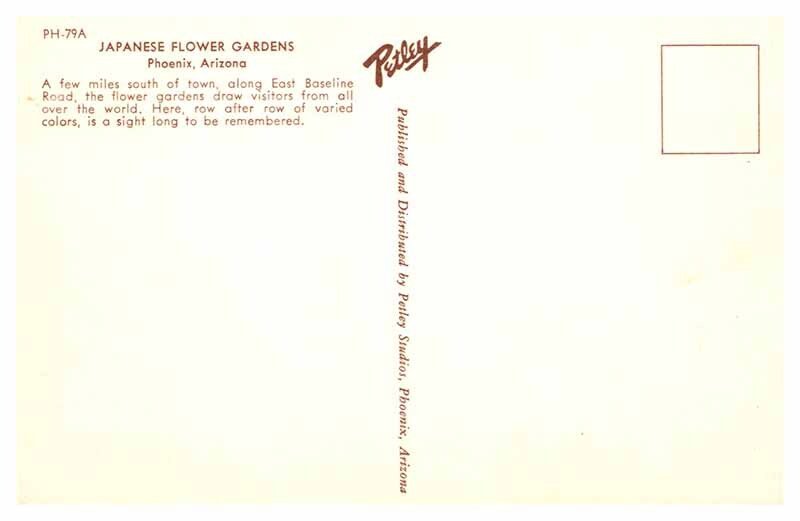 Postcard GARDEN SCENE Phoenix Arizona AZ AU6843