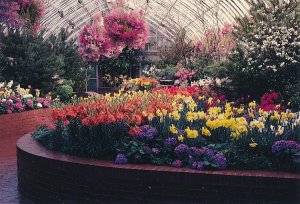 Phipps Conservatory, Pittsburgh PA, Pennsylvania - Spring Flower Show