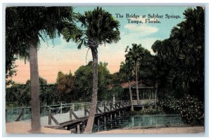 1914 The Bridge Sulphur Springs Lady On Rustic Bridge Shed Tampa FL Postcard 