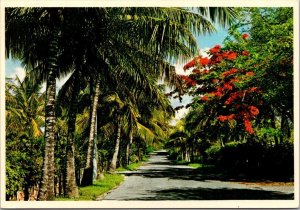 Bahamas Nassau Typical Road Scene