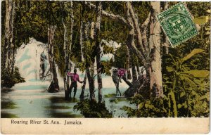 PC CPA JAMAICA, ROARING RIVER, ST. ANN, Vintage Postcard (b21571)