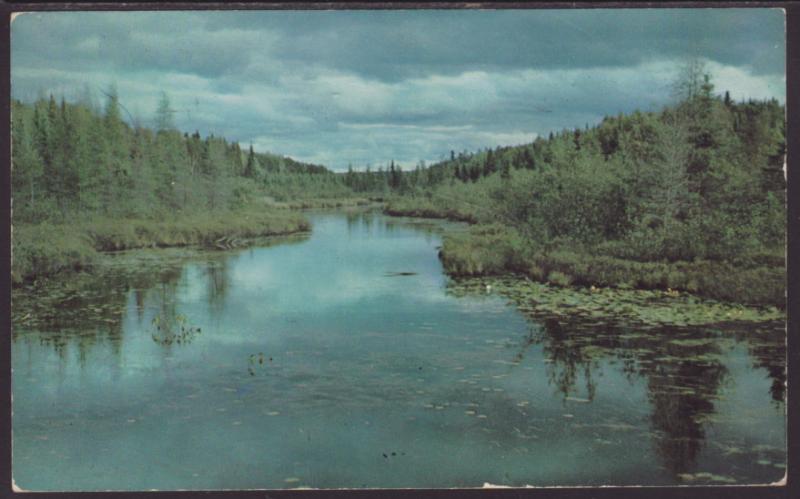 The Hunting Shack River,MN Postcard BIN