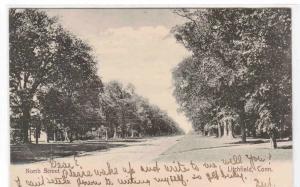 North Street Litchfield Connecticut 1906 postcard