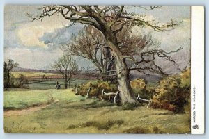 Across The Meadows Country Charms United Kingdom Signed Oilette Tuck Postcard