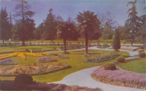 Long Beach California Recreation Park, Flowers, Palm Trees Chrome Postcard
