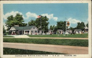 FILLMORE INDIANA IN White Oak Farm Vintage Postcard